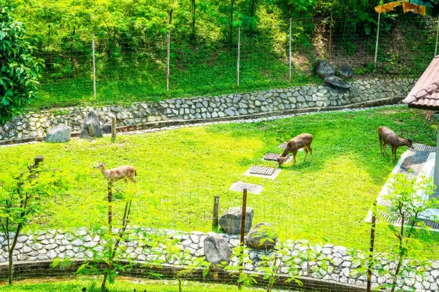 10 Best Things to Do With Kids in Kuala Lumpur