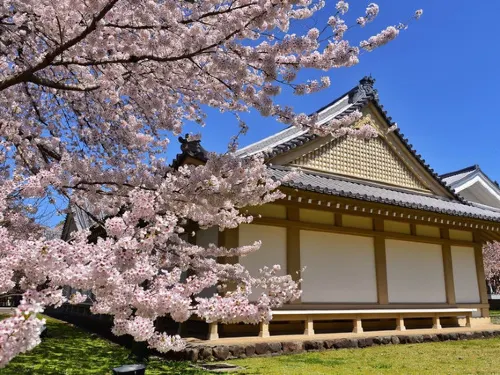 Among All the World Heritage Sites in Kyoto, Which Should You Choose?