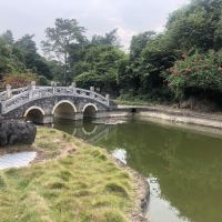 評論圖片 4