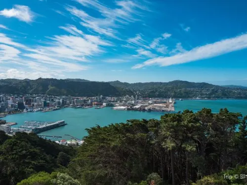 Hiking or Surfing: Travel for Nature Near Wellington New Zealand