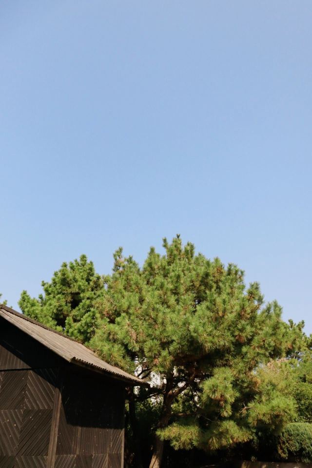 톈헝다오