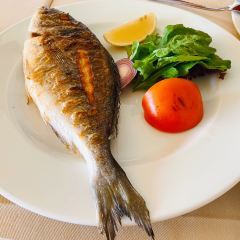 Aynali User Photo