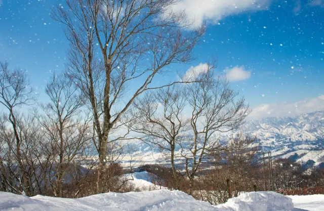 又是一年滑雪季！海外熱門滑雪地大盤點