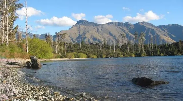 Walkways Around Queenstown