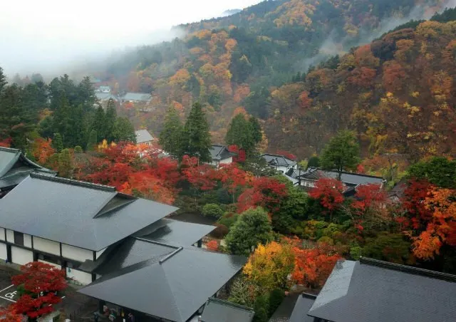 The 10 Best Around The World to Travel in November