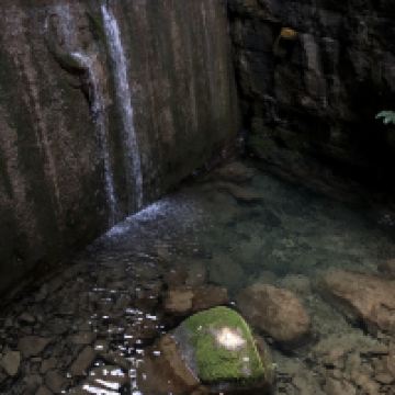 評論圖片 2