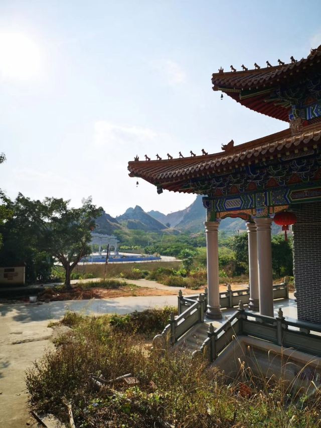 Wucai Tuanyuan Farmers Festival