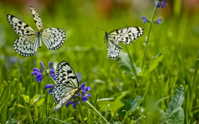 Close to Nature, The Best Scenic Areas Around Beijing for Families with Children