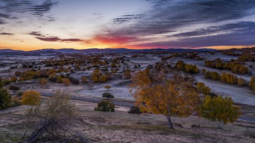 Bashang Grasslands