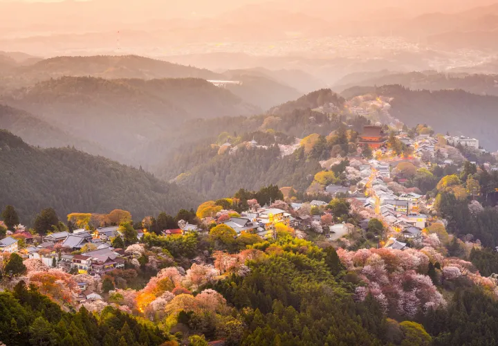 Great Things to See Besides Deer in Nara