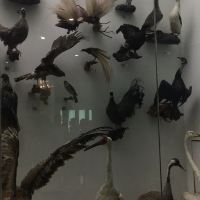 評論圖片 5