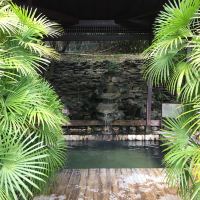評論圖片 8