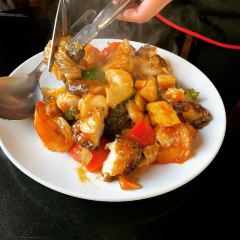 津津張用戶圖片