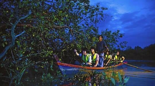 Glow Worm Tour