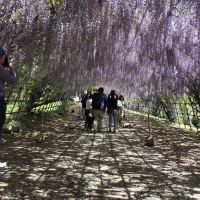 評論圖片 1