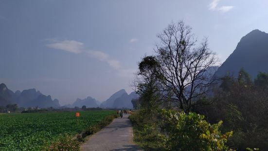 夏棠寨是遇龙河边的一个小村庄，位于旧县和朝阳之间。风景很美，