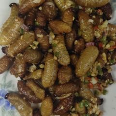 石狗聚香园美食馆(四会店) User Photo