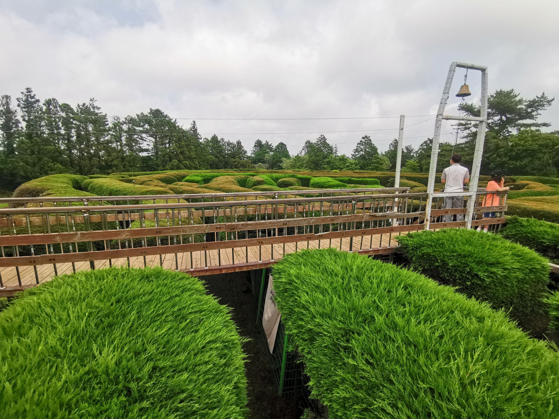 金寧迷宮公園景點評價 金寧迷宮公園門票 金寧迷宮公園優惠 金寧迷宮公園交通 地址 開放時間 金寧迷宮公園附近景點 酒店及美食 Trip Com