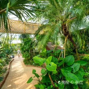 首爾林公園