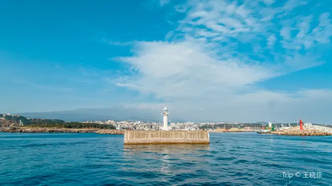 2_牛島