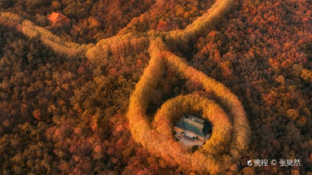 南京美齡宮半日遊【精品遊丨深層次1.5H丨私家團丨文史大咖】