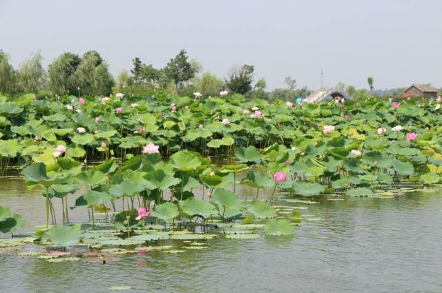 Shahe Wetland Park