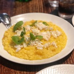 Tipo 00張用戶圖片