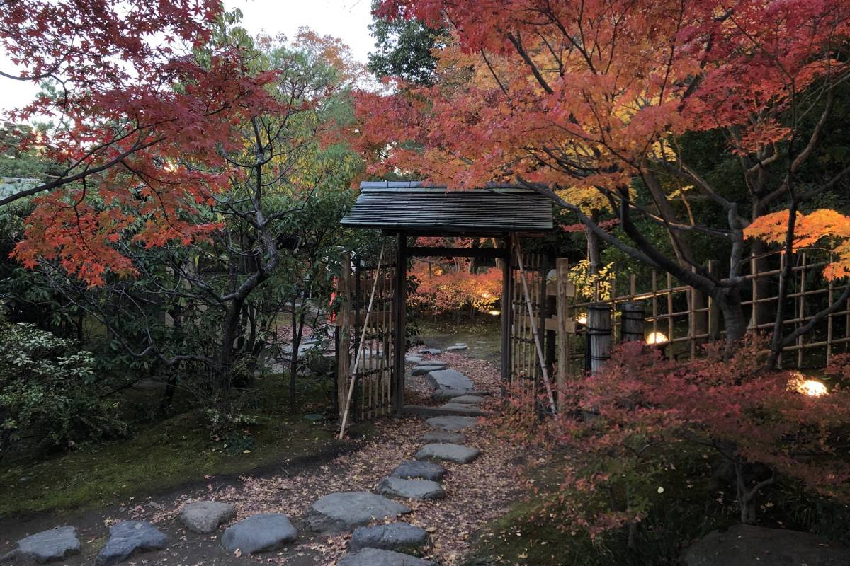 名古屋紅葉 | 3. 白鳥庭園