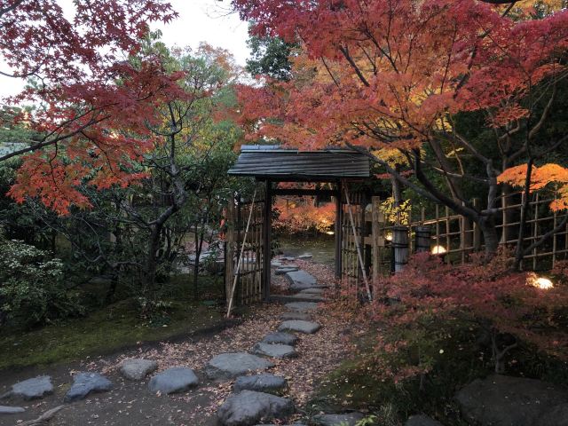 白鳥庭園attractions 名古屋travel Review 2020年2月3日travel Guide Trip Com