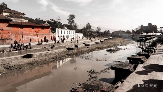Pachali Bhairav Yuwa Pariwar