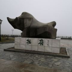 Maixiangyuan (jiexingongyuan) User Photo