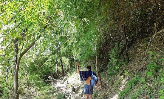 Monkey Trail