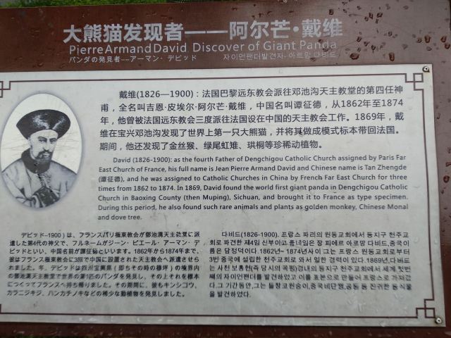 Panda Ancient City