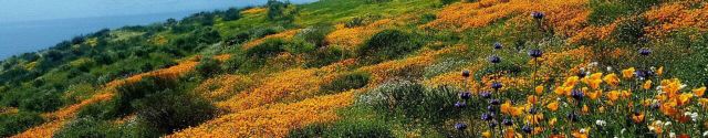 Green Mountain National Forest