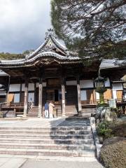 Shuzenji Bairin plum garden