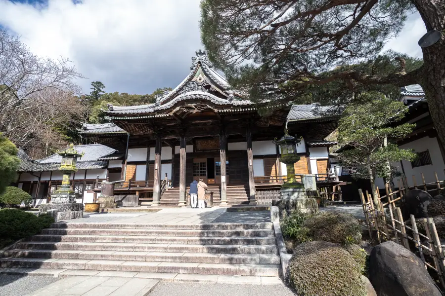 Shuzenji Bairin plum garden