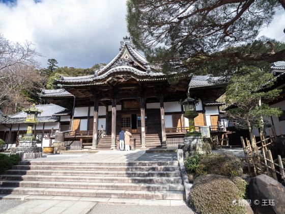 Shuzenji Bairin plum garden