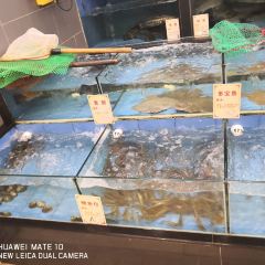 Shanhainongzhuang (wenquanzhen) User Photo