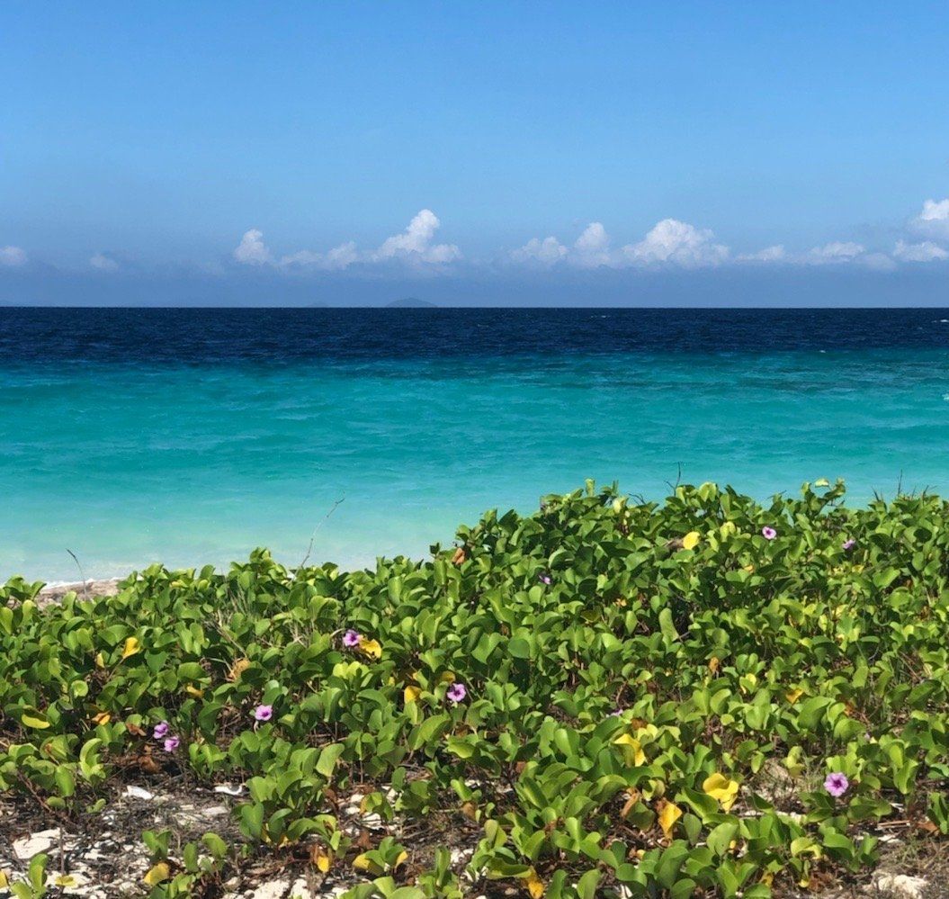 Bohey Dulang Island Travel Guidebook Must Visit Attractions In Semporna Bohey Dulang Island Nearby Recommendation Trip Com