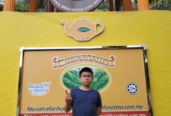 Cameron Valley Tea House User Photo