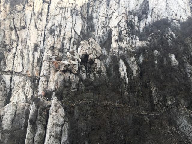 싼황자이(삼황채)