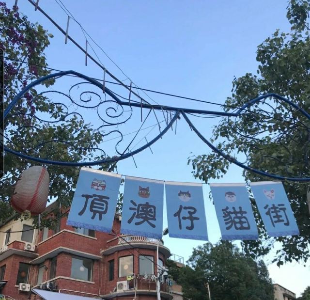딩아오자이