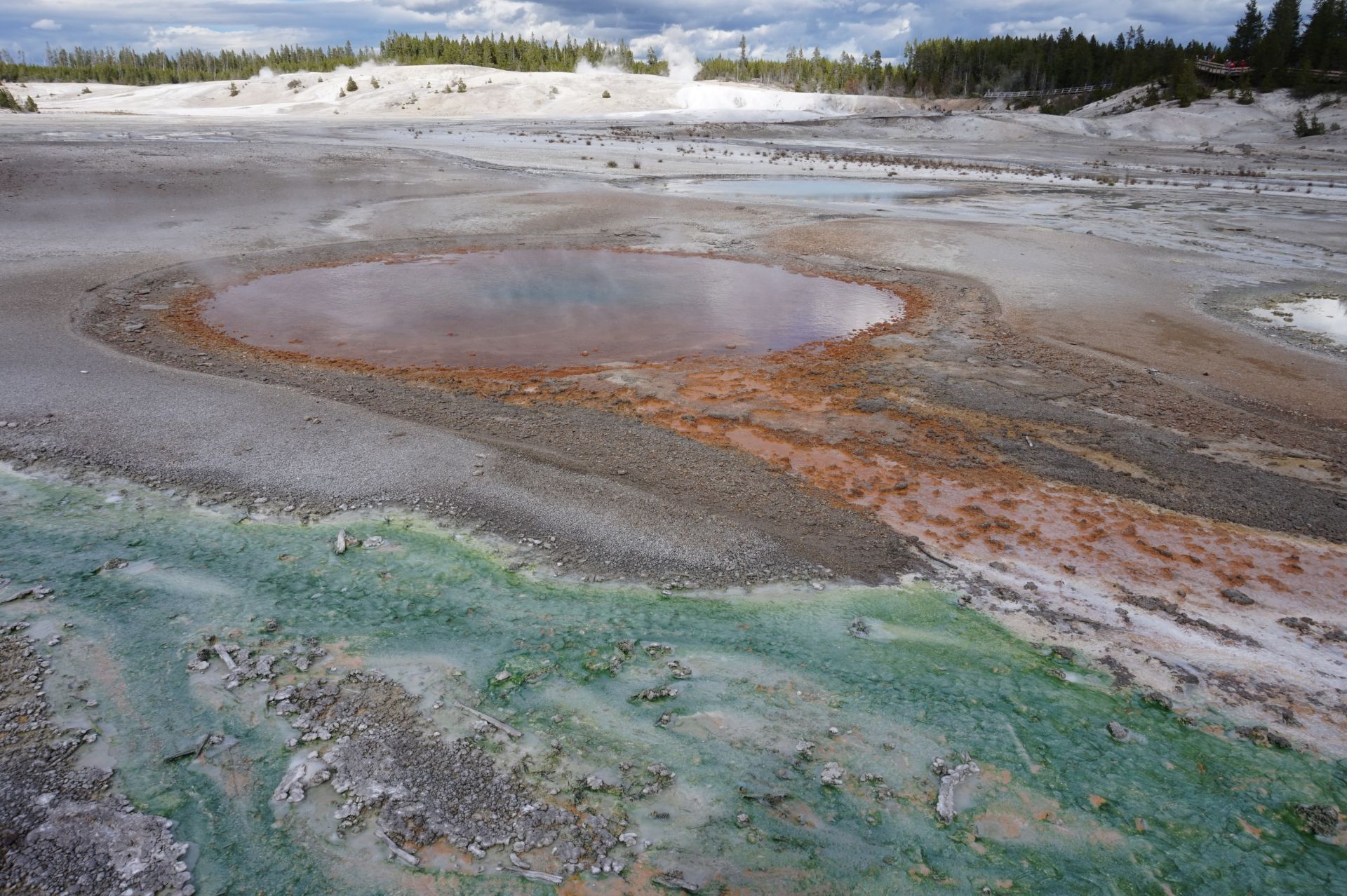 イエローストーン国立公園 Norris Geyser Basin 評判 案内 トリップドットコム イエローストーン国立公園 Norris Geyser Basin 評判 案内 トリップドットコム