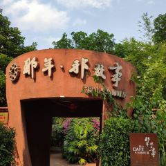 Fushan Coffee Shop 여행 사진