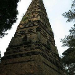 花麦地溪边小厨(天台国清寺入口店) User Photo
