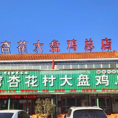沙湾杏花村大盘鸡总店 User Photo