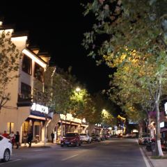 老古树餐厅(历史景点店) User Photo