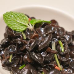 Tian Lun Li  (Xi hu dian) User Photo