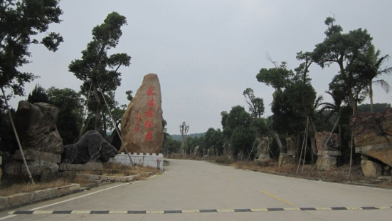 สวนพฤกษศาสตร์ Yonghong