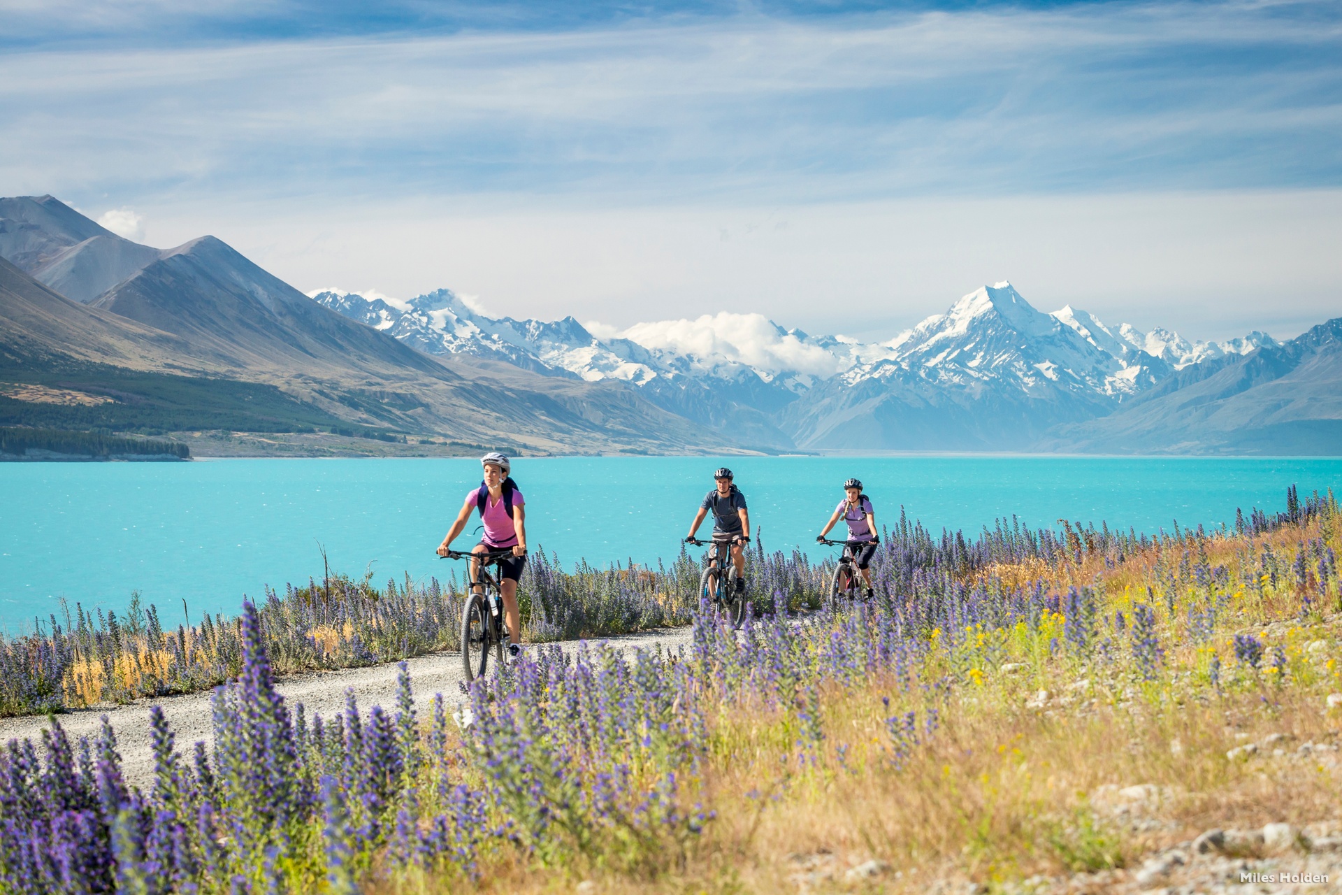 2025 South Island Travel Guide: Must-see attractions, popular food, hotels, transportation routes (updated in June)